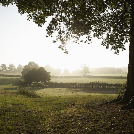 April Cottage Stow-on-the-Wold Bagian luar foto