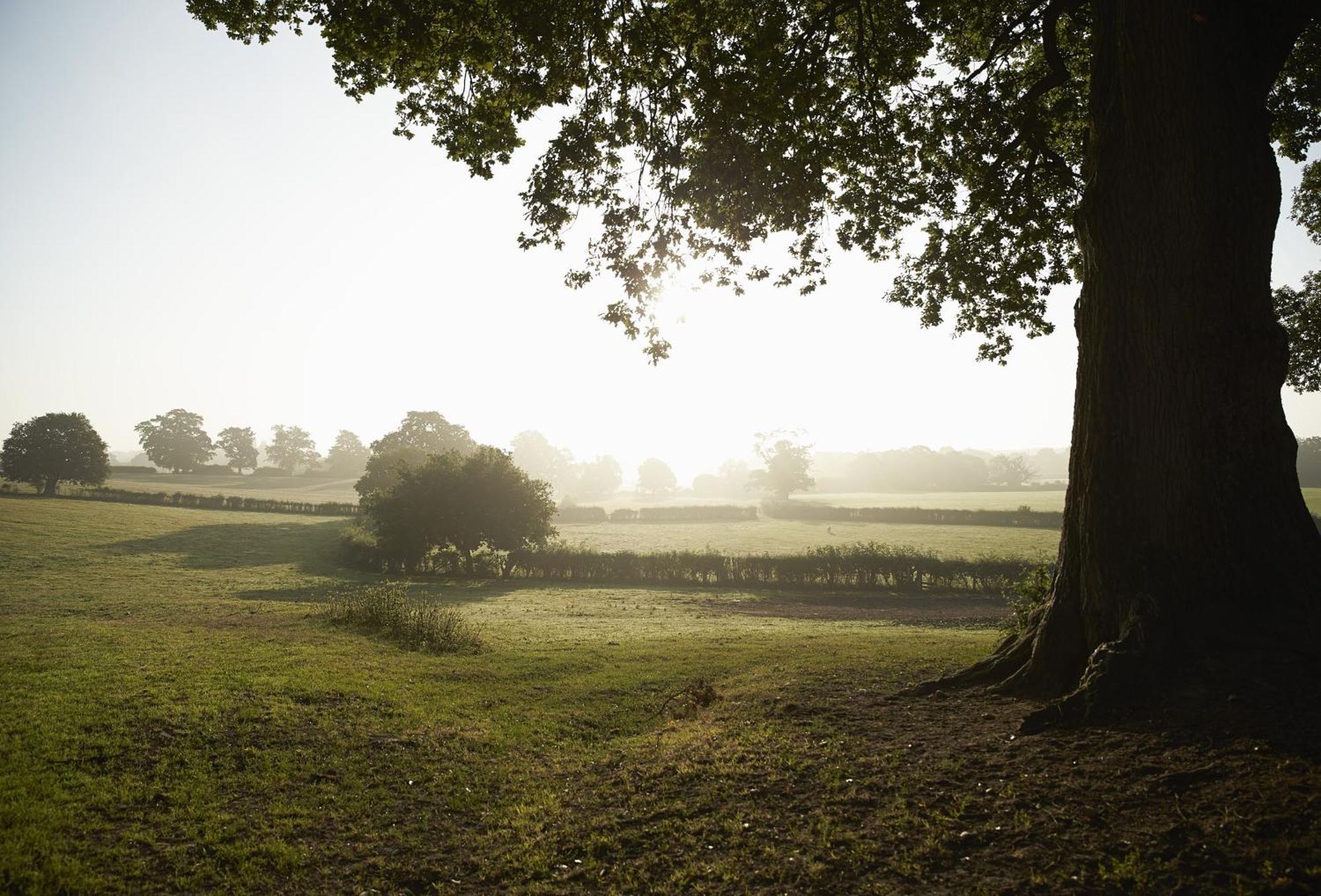 April Cottage Stow-on-the-Wold Bagian luar foto